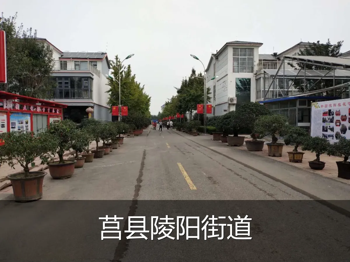莒县陵阳街道