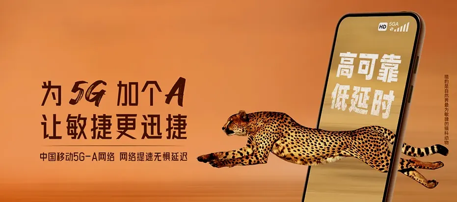 莒县莒县棋山镇 移动宽带